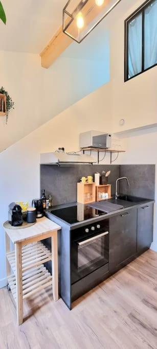 Le Duplex Catherine - Metro - Gare - Wifi تولوز المظهر الخارجي الصورة