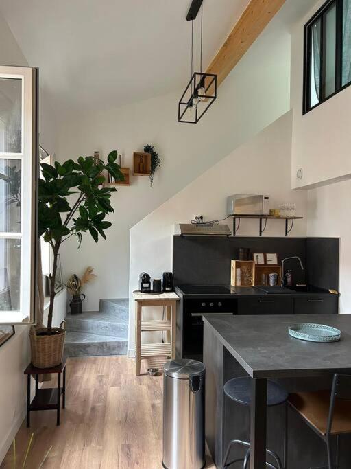 Le Duplex Catherine - Metro - Gare - Wifi تولوز المظهر الخارجي الصورة