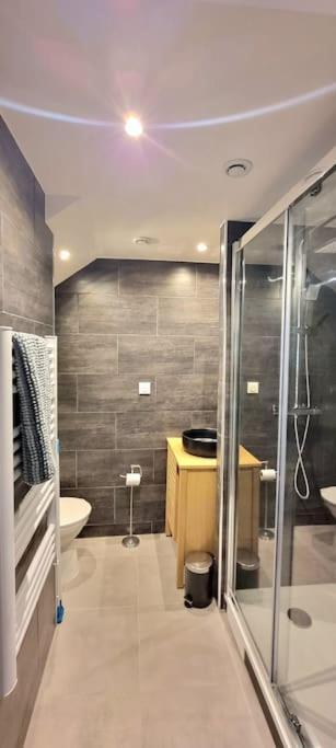 Le Duplex Catherine - Metro - Gare - Wifi تولوز المظهر الخارجي الصورة