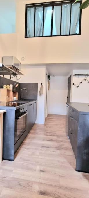 Le Duplex Catherine - Metro - Gare - Wifi تولوز المظهر الخارجي الصورة