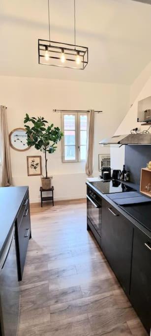 Le Duplex Catherine - Metro - Gare - Wifi تولوز المظهر الخارجي الصورة