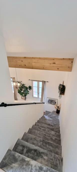 Le Duplex Catherine - Metro - Gare - Wifi تولوز المظهر الخارجي الصورة